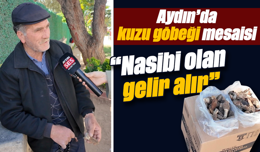 Aydın’da kuzu göbeği mesaisi: “Nasibi olan gelir alır”