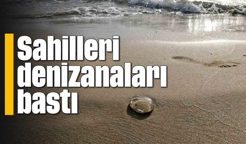 Sahilleri denizanaları bastı