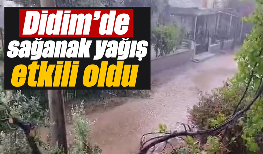 Didim’de sağanak yağış etkili oldu