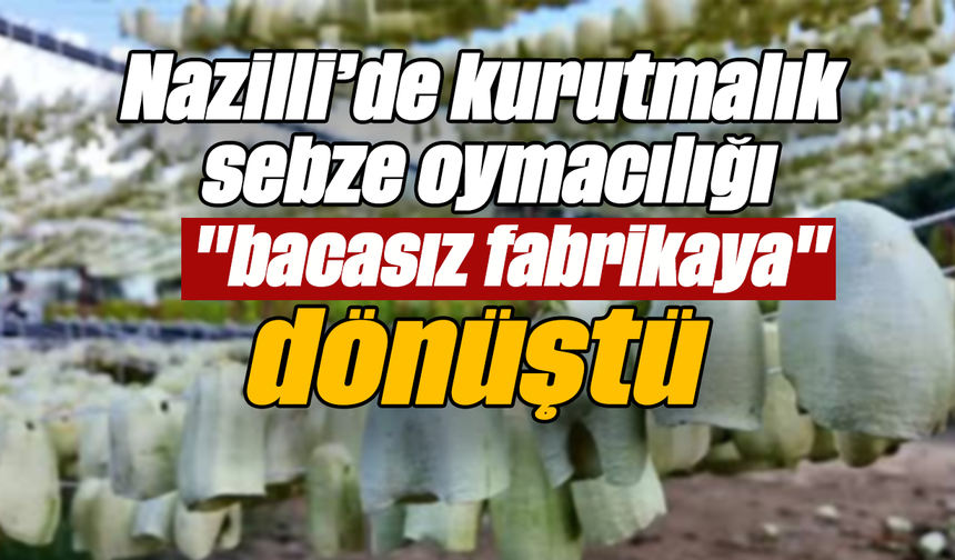 Nazilli’de kurutmalık sebze oymacılığı "bacasız fabrikaya" dönüştü