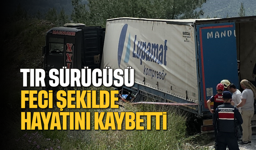 TIR sürücüsü feci şekilde hayatını kaybetti