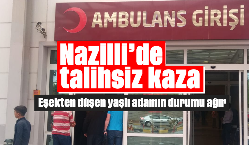 Nazilli’de talihsiz kaza: Eşekten düşen yaşlı adamın durumu ağır