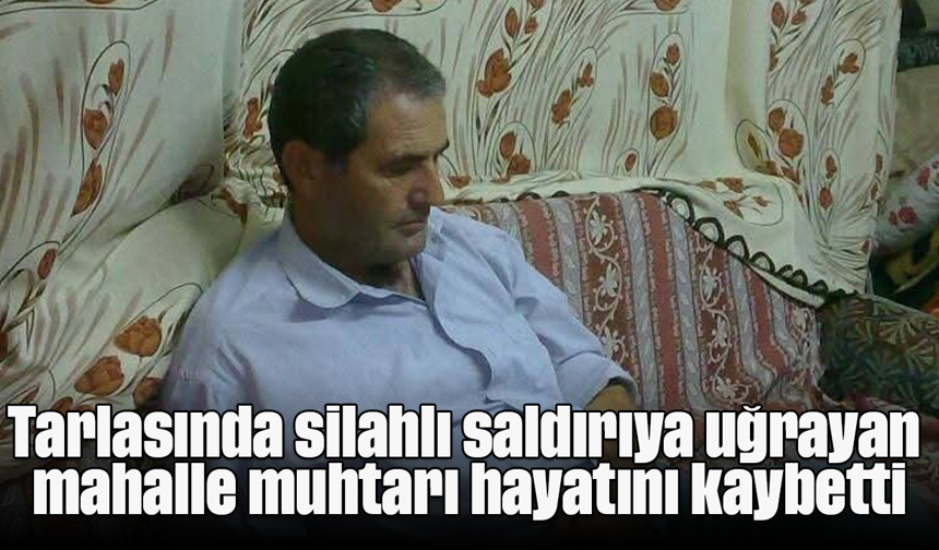 Tarlasında silahlı saldırıya uğrayan mahalle muhtarı hayatını kaybetti