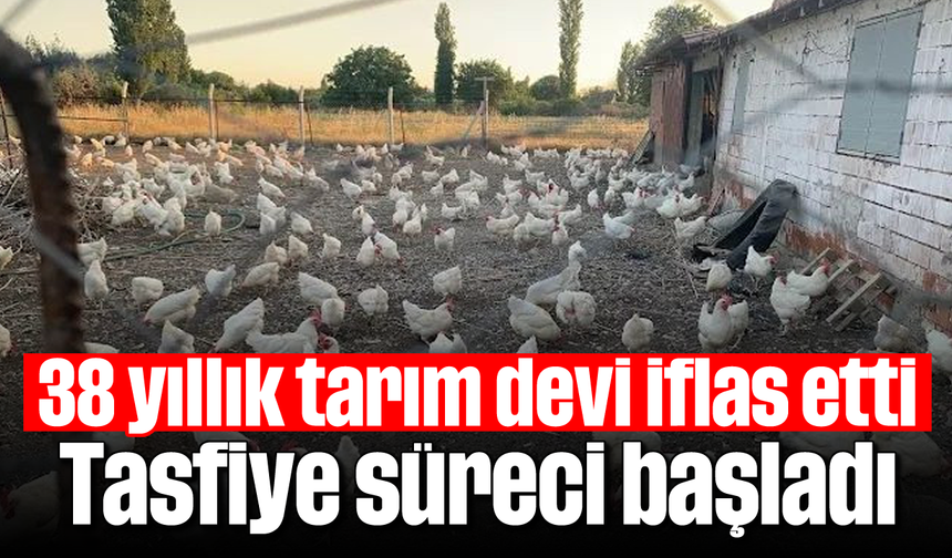 38 yıllık tarım devi iflas etti: Tasfiye süreci başladı