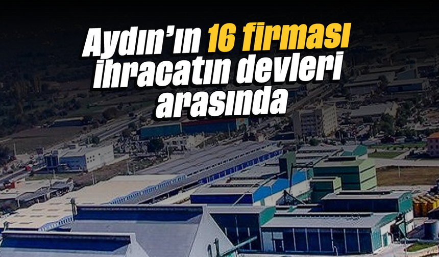 Aydın’ın 16 firması ihracatın devleri arasında