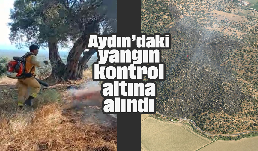 Aydın’daki yangın kontrol altına alındı