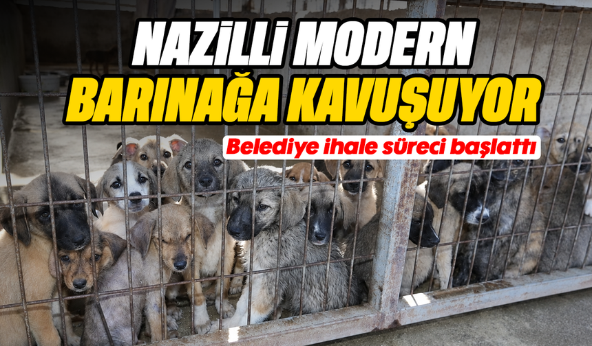 Nazilli modern barınağa kavuşuyor: Belediye ihale süreci başlattı