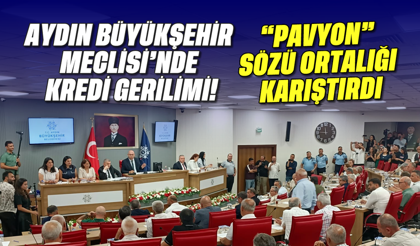 Aydın Büyükşehir Meclisinde 'pavyon' sözü ortalığı karıştırdı