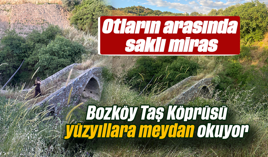 Otların arasında saklı miras: Bozköy Taş Köprüsü yüzyıllara meydan okuyor