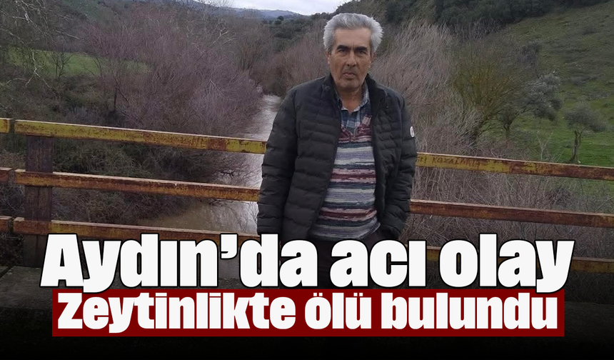 Aydın’da acı olay: Zeytinlikte ölü bulundu
