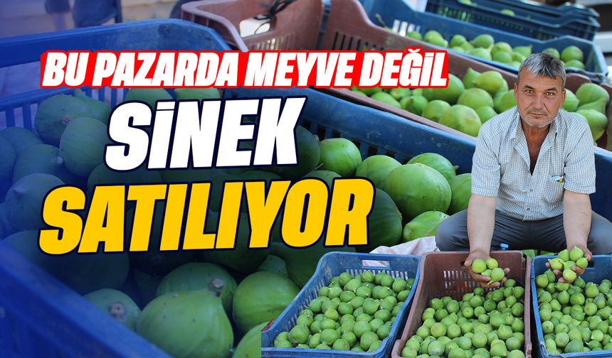 Bu pazarda meyve değil sinek satılıyor