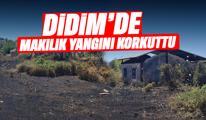 Didim'de makilik yangını korkuttu