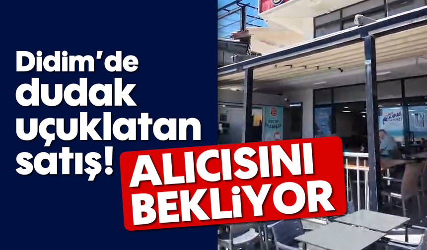 Didim’de dudak uçuklatan satış! Alıcısını bekliyor