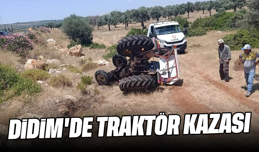 Didim'de traktör kazası