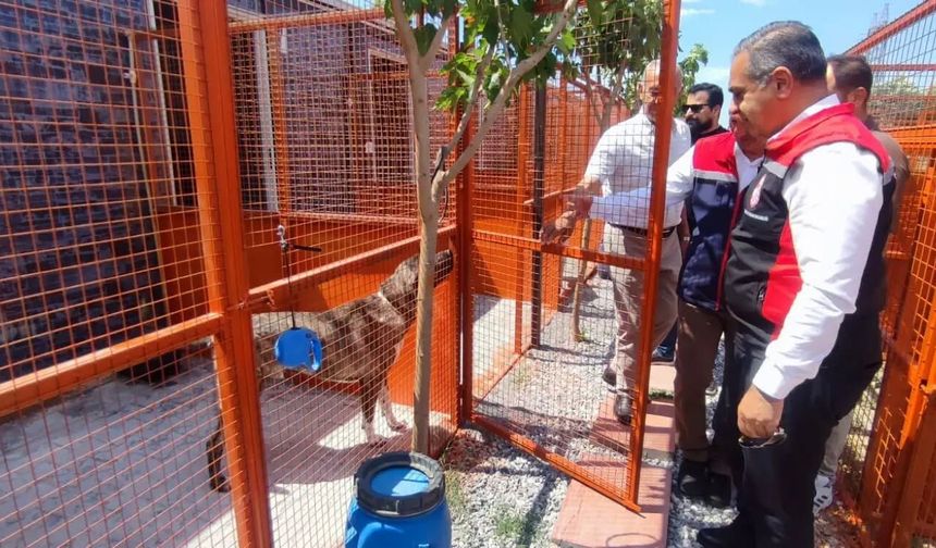 Didim’deki Can dostlara üst düzey denetim