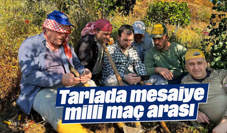 Tarlada mesaiye milli maç arası