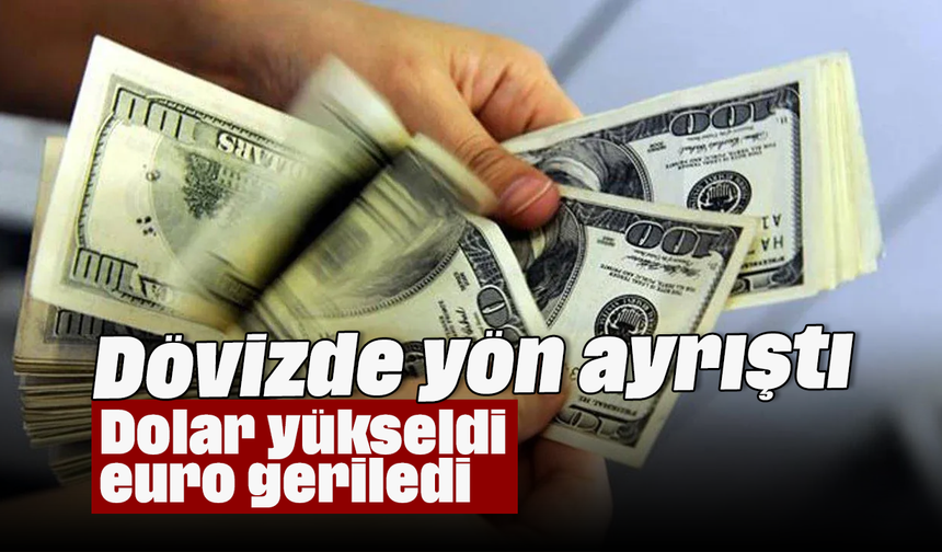 Dövizde yön ayrıştı: Dolar yükseldi euro geriledi