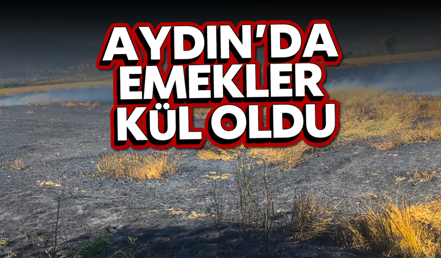 Aydın’da emekler kül oldu