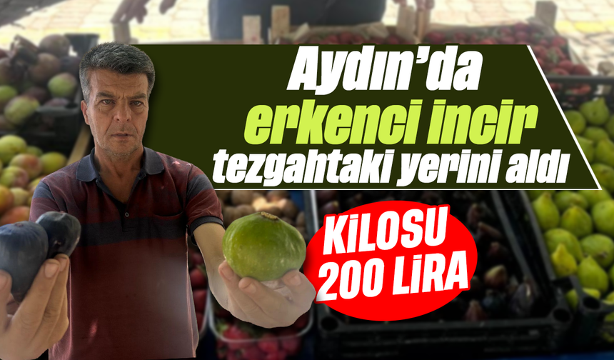 Aydın’da erkenci incir tezgahtaki yerini aldı: Kilosu 200 lira