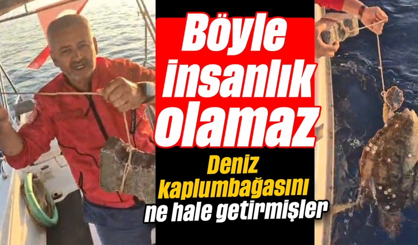 Böyle insanlık olamaz; Deniz kaplumbağasını ne hale getirmişler