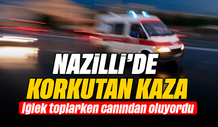 Nazilli’de korkutan kaza : İğlek toplarken canından oluyordu