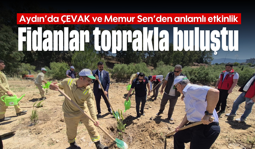 Aydın'da ÇEVAK ve Memur Sen'den anlamlı etkinlik: Fidanlar toprakla buluştu