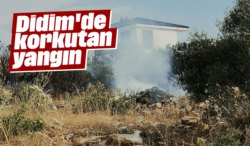 Didim'de korkutan yangın