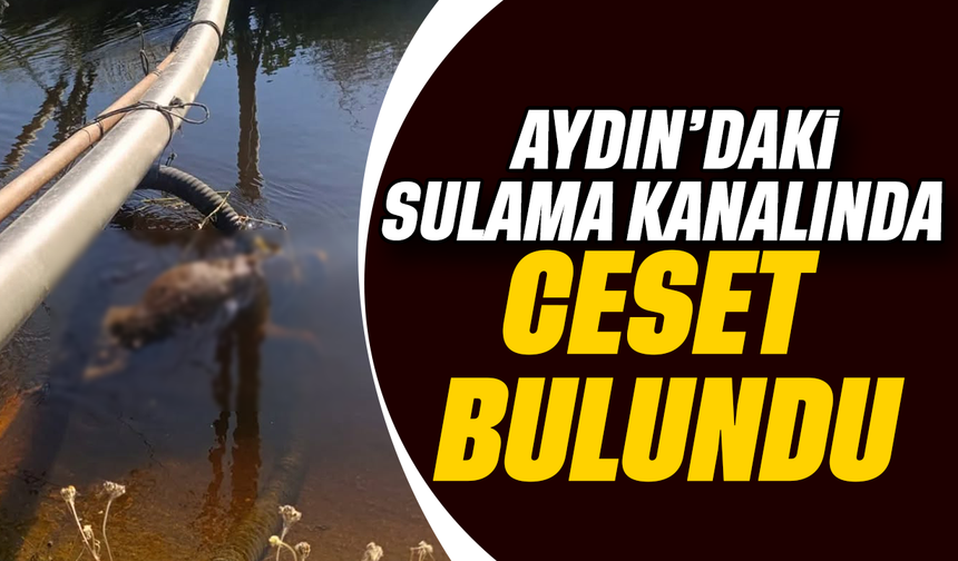 Aydın’daki  sulama kanalında ceset bulundu