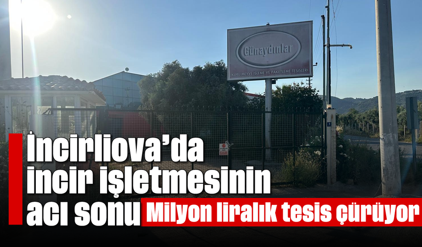 İncirliova’da incir işletmesinin acı sonu: Milyon liralık tesis çürüyor