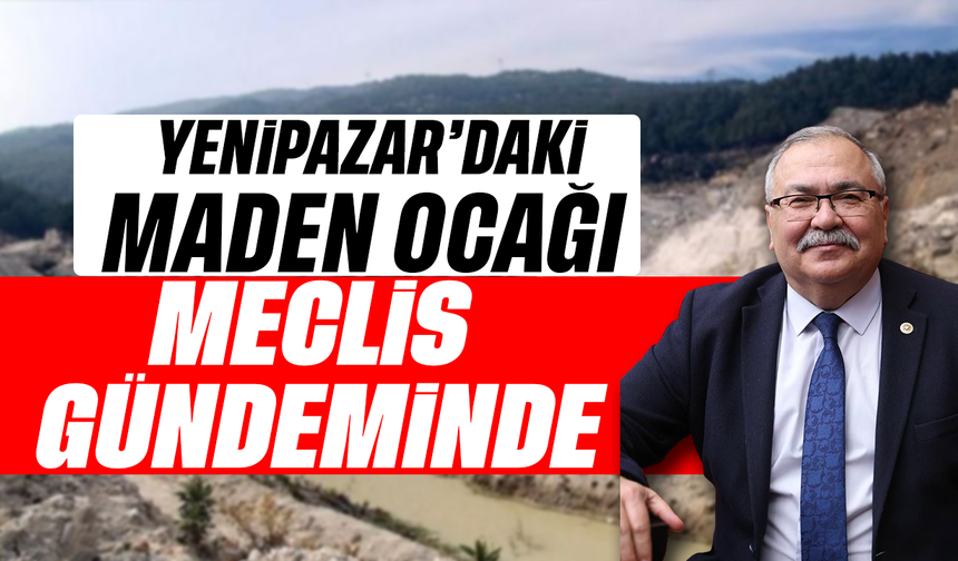 Yenipazar'daki maden ocağı, Meclis gündeminde
