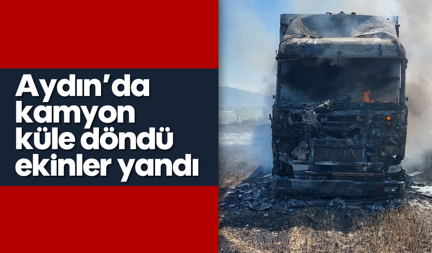 Aydın'da kamyon küle döndü, ekinler yandı