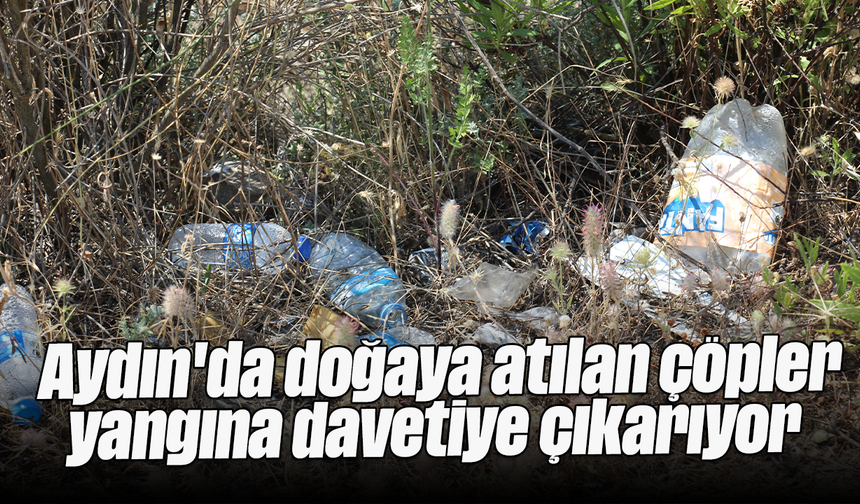 Aydın'da doğaya atılan çöpler yangına davetiye çıkarıyor