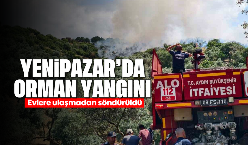 Yenipazar'da orman yangını: Evlere sıçramadan söndürüldü