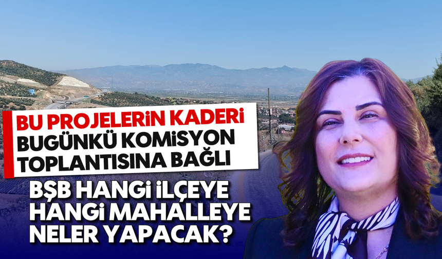 Aydın BŞB, hangi ilçeye, hangi mahalleye neler yapacak?