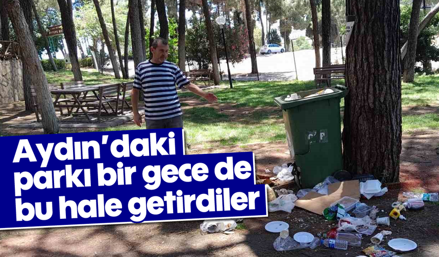 Aydın'daki parkı bir gece de bu hale getirdiler