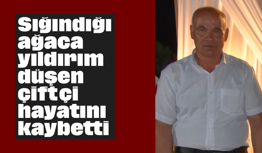 Sığındığı ağaca yıldırım düşen çiftçi hayatını kaybetti