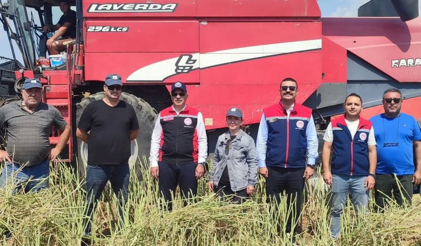 Söke’de kanola hasadı gerçekleştirildi
