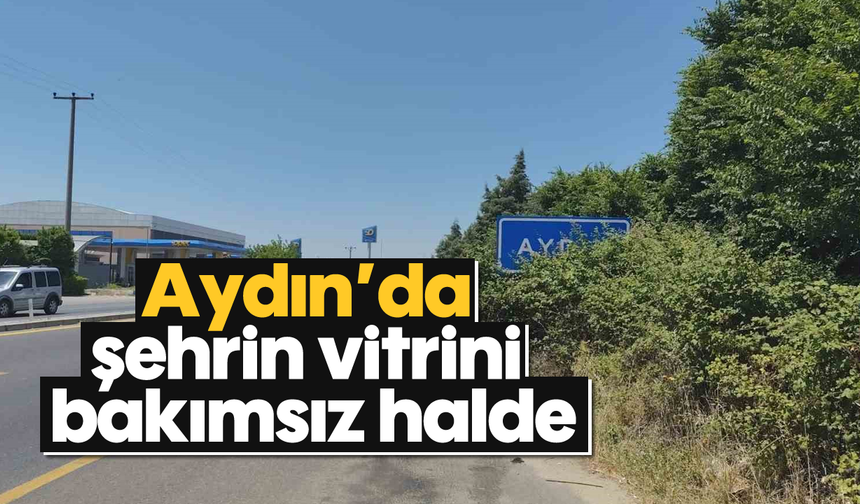 Aydın'da şehrin vitrini bakımsız halde