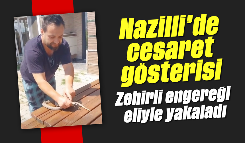 Nazilli’de cesaret gösterisi: Zehirli engereği eliyle yakaladı