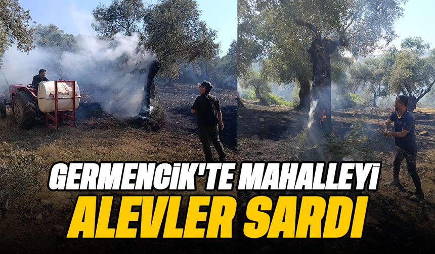 Germencik’te mahalleyi alevler sardı