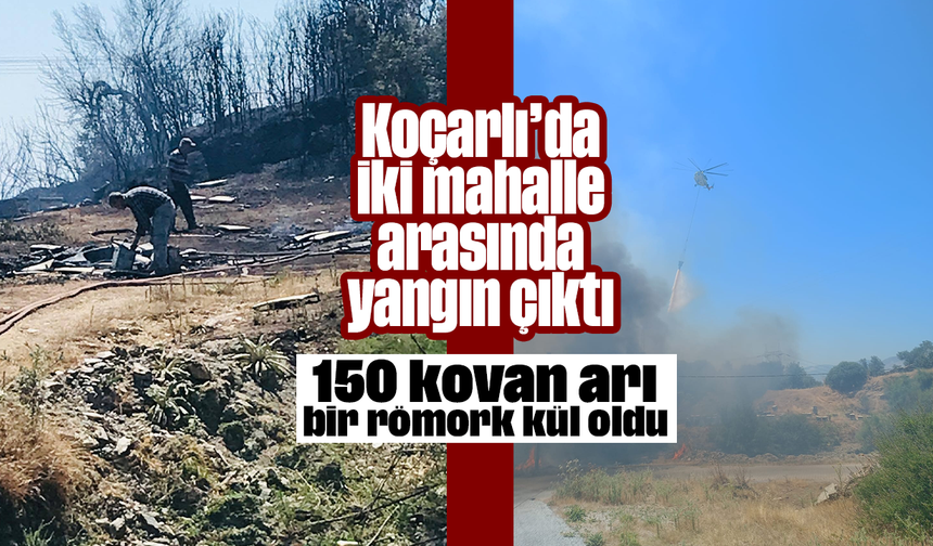 Koçarlı’da iki mahalle arasında yangın çıktı: 150 kovan arı, bir römork kül oldu