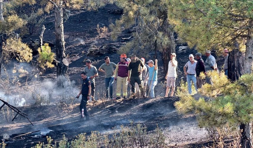 Bozdoğan’da 1,5 hektarlık alan kül oldu: Bir orman işçisi yaralandı
