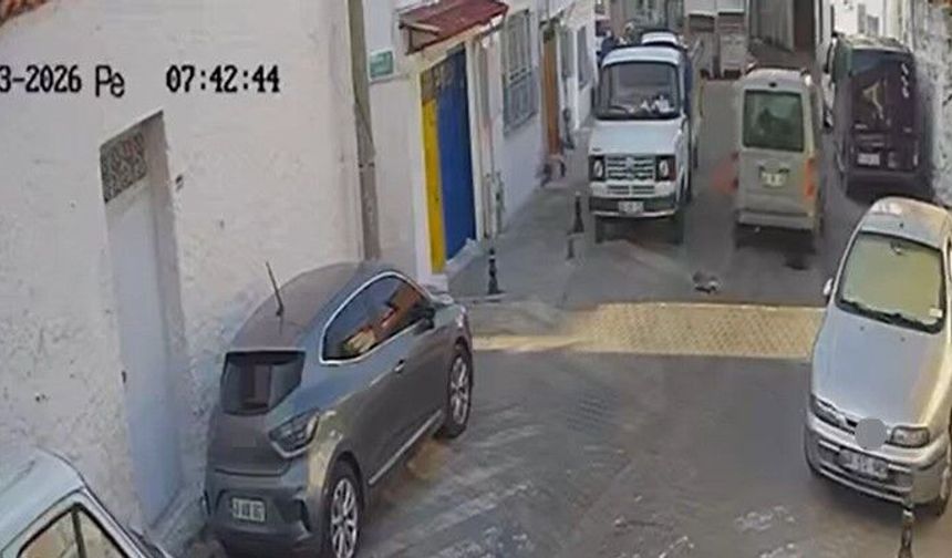 İki sokak kedisini ezdi, arkasına bile bakmadan uzaklaştı