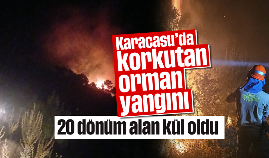 Karacasu'da korkutan orman yangını: 20 dönüm alan kül oldu