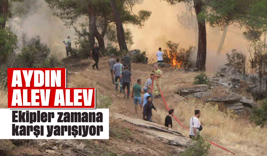 Aydın alev alev: Ekipler zamana karşı yarışıyor