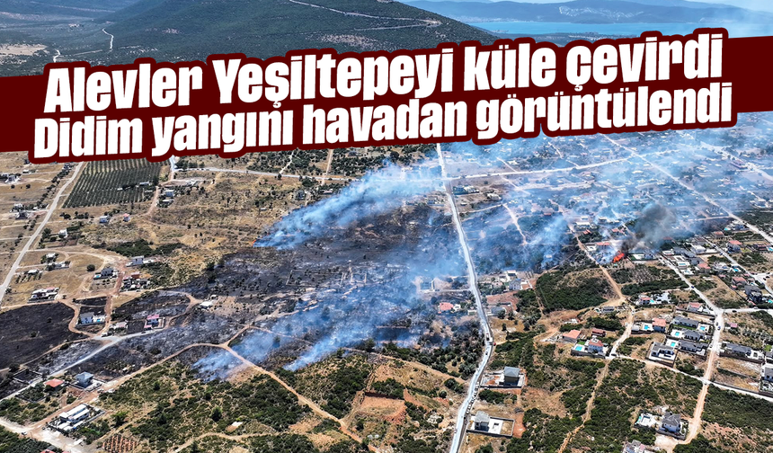 Alevler, Yeşiltepeyi küle çevirdi; Didim yangını havadan görüntülendi