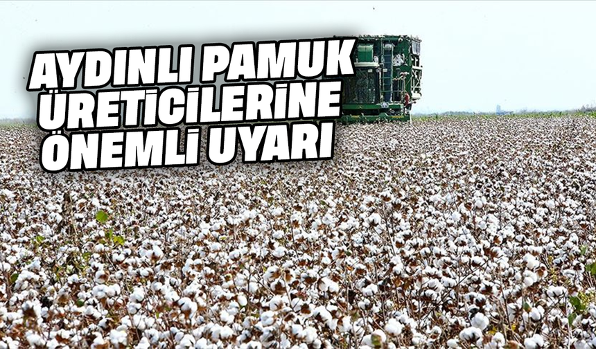 Aydınlı pamuk üreticilerine önemli uyarı