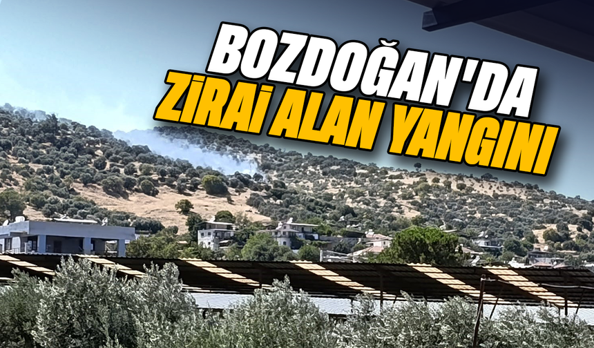 Bozdoğan’da zirai alan yangını