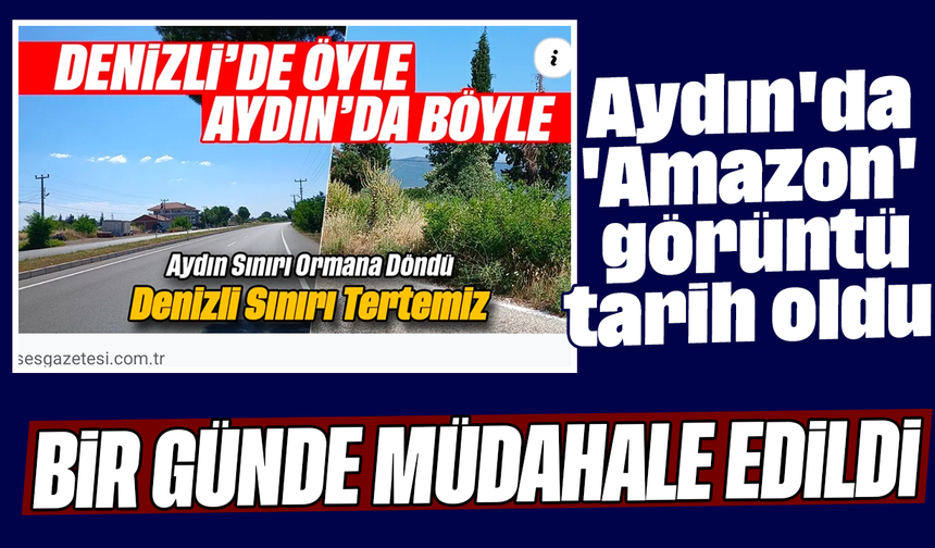 Aydın'da 'Amazon' görüntü tarih oldu: Bir günde müdahale edildi