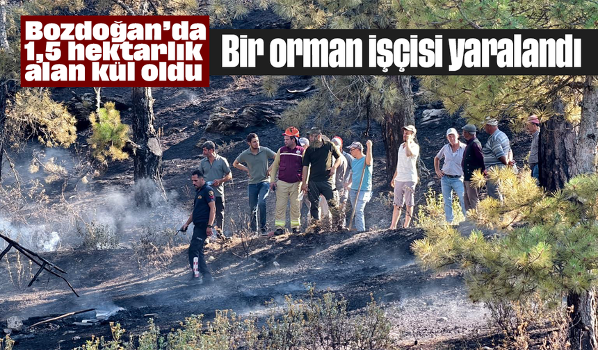 Bozdoğan’da 1,5 hektarlık alan kül oldu: Bir orman işçisi yaralandı